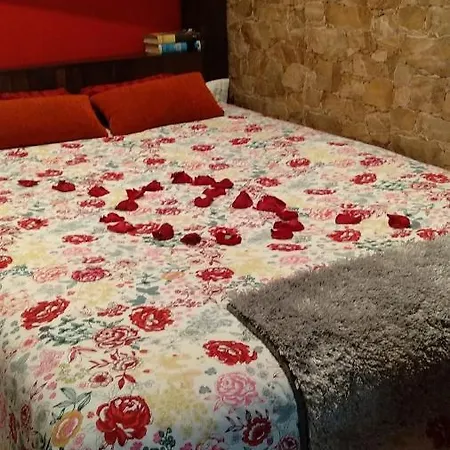 Appartement Loft 